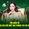 đá gà casino online mobile casino 🎰 games